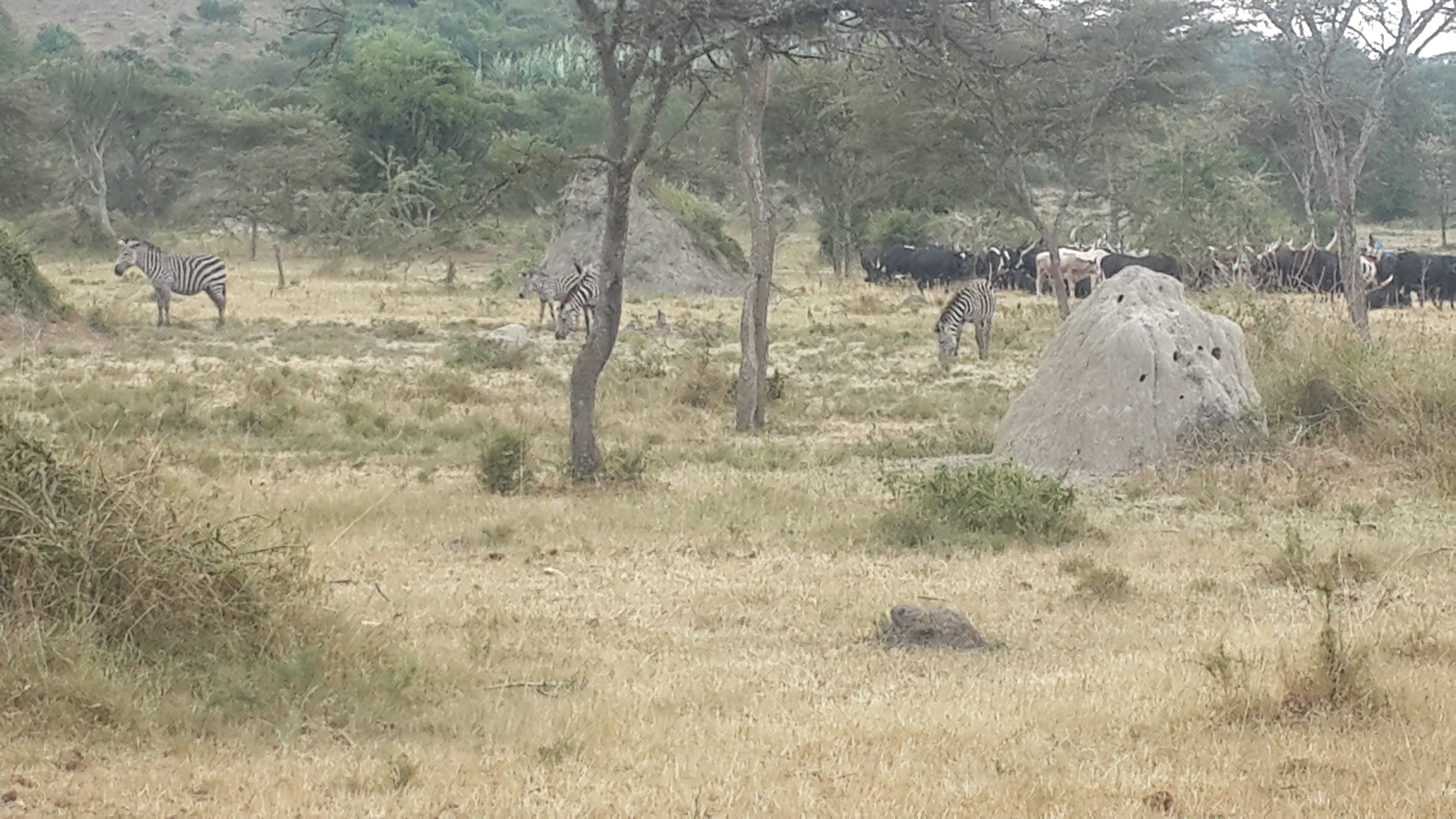 Science driven field work image 9